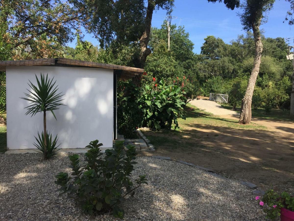 Residence Emilia Santa-Maria-Poggio  Bagian luar foto